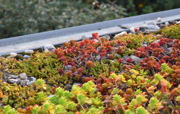 the cost of Lanescot green roof installation