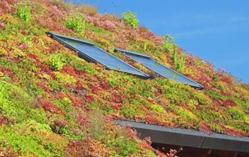 Lanescot living roof systems