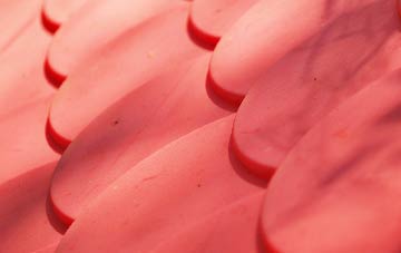 Lanescot plastic roof costs